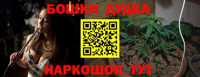 стаф Аргун