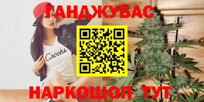 Альфа ПВП Бийск