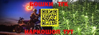 Альфа ПВП Бийск