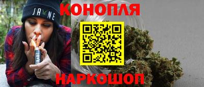 Альфа ПВП Бийск