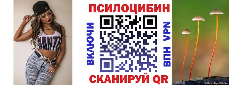 купить наркотик  Сатка  Галлюциногенные грибы Psilocybe 