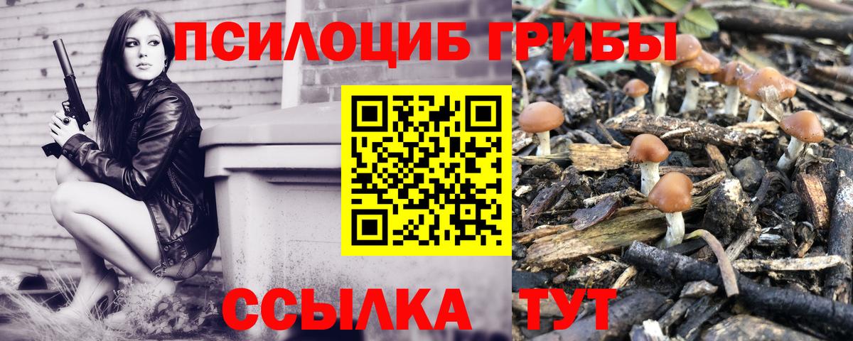 Псилоцибиновые грибы MAGIC MUSHROOMS Сатка
