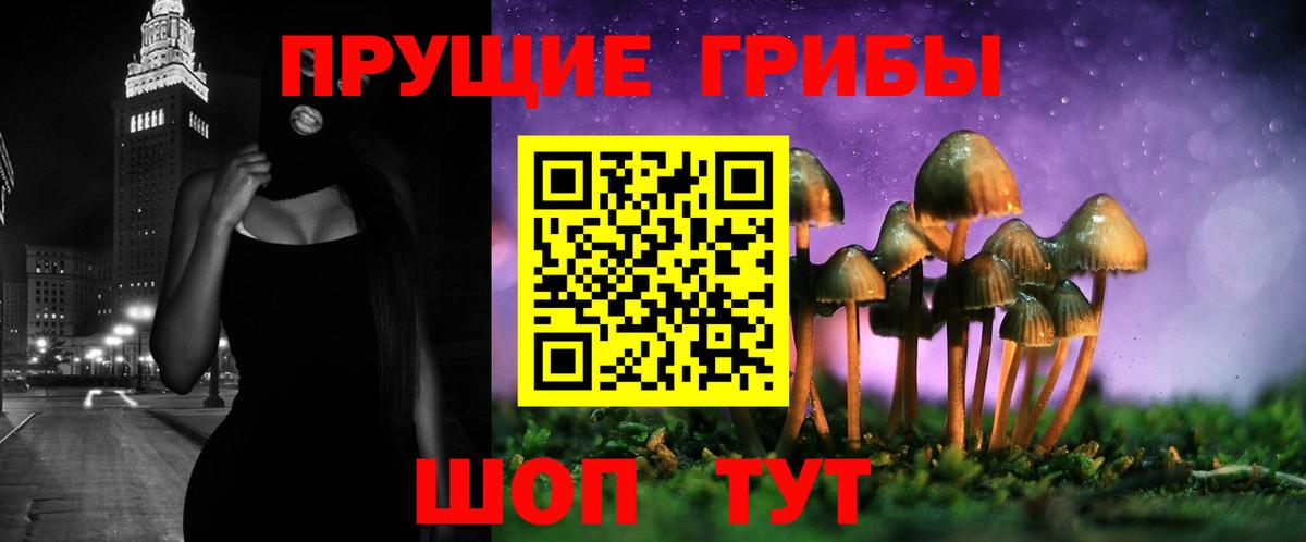 Псилоцибиновые грибы Psilocybe Сатка